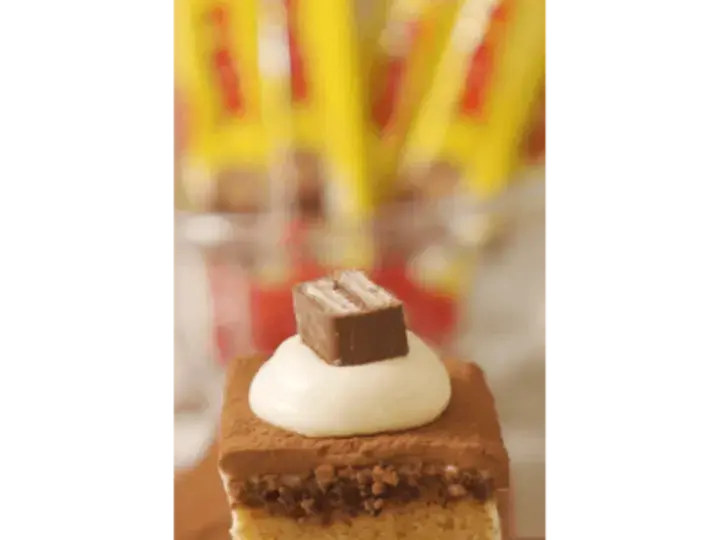 Nestlé Cake Decorating Series #1 Tex-Amisu Cake