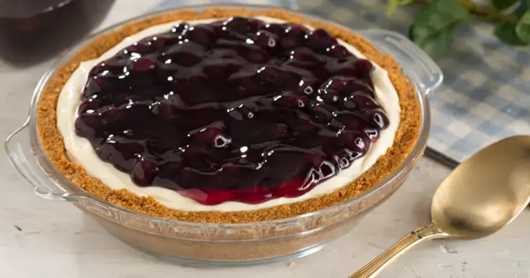 Blueberry Cheesecake big serving