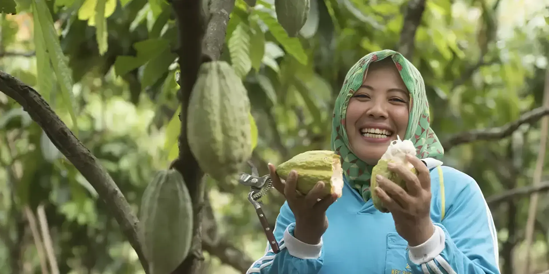 KitKat Nestlé Cocoa Plan