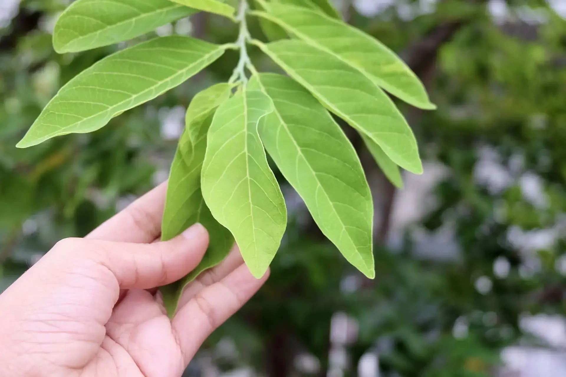 Don’t Leave, There’s More