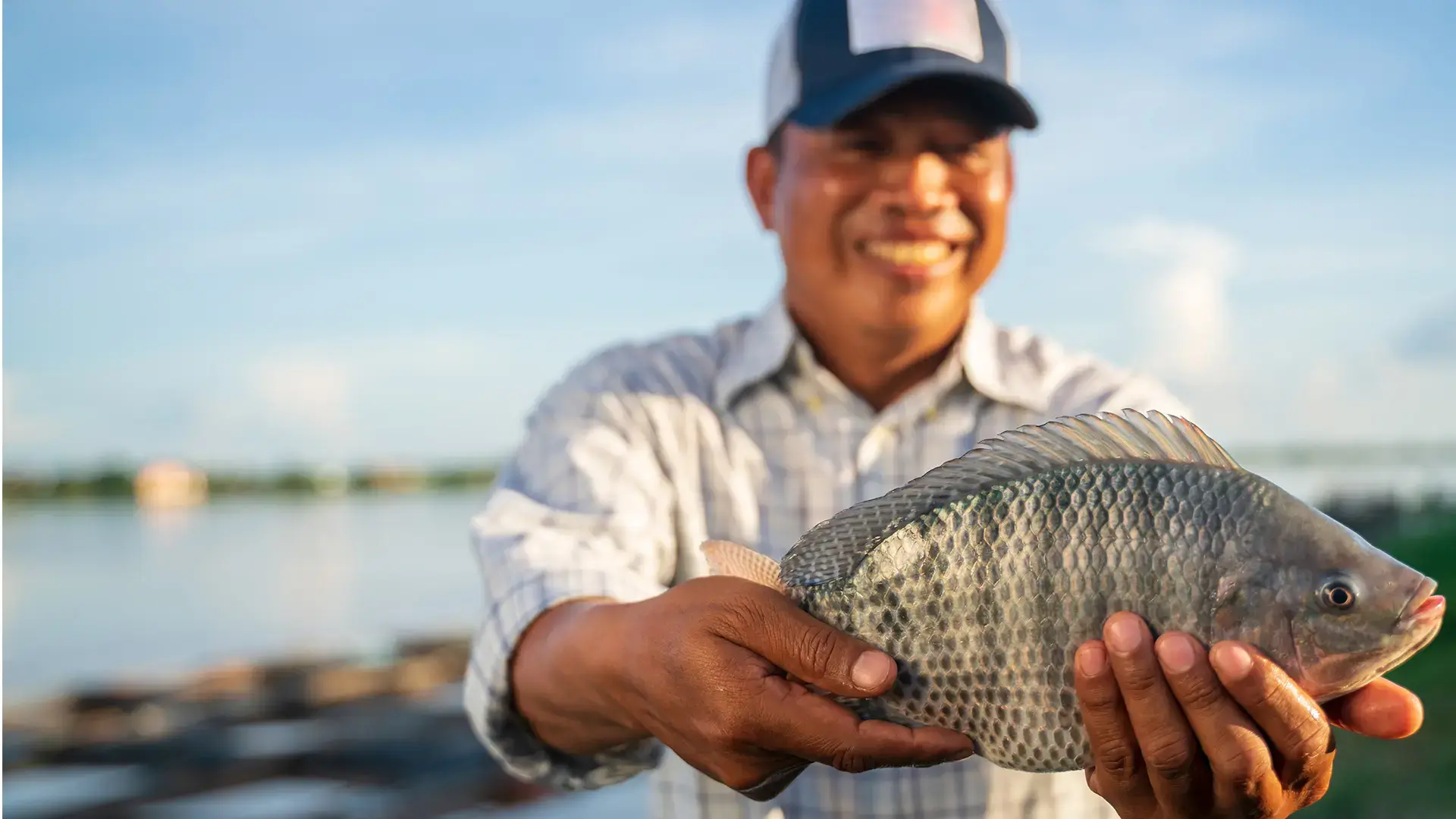 Aquaculture farmer man showcasing quality-raised tilapia in his hands