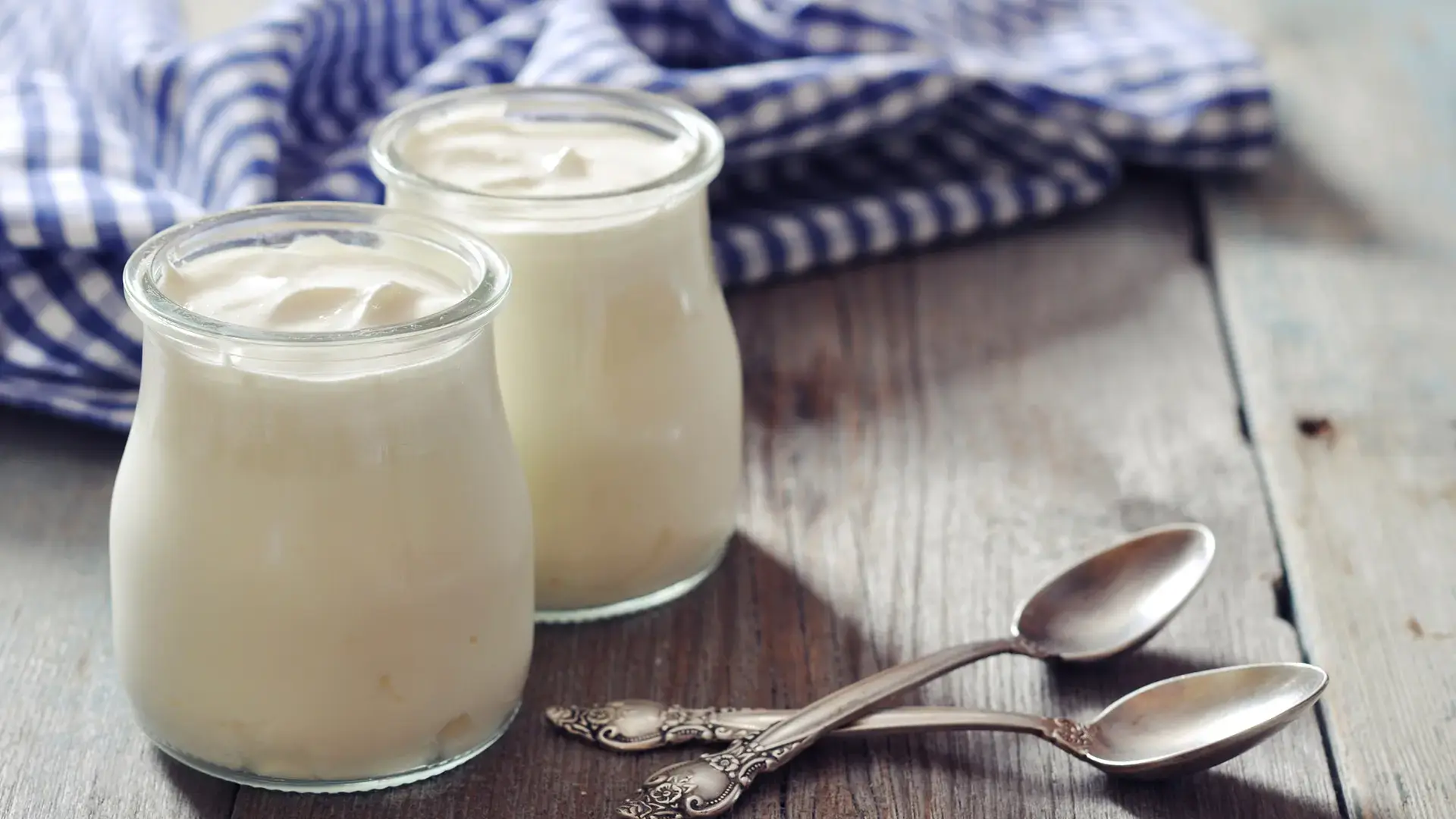 Geek Out on Greek Yogurt