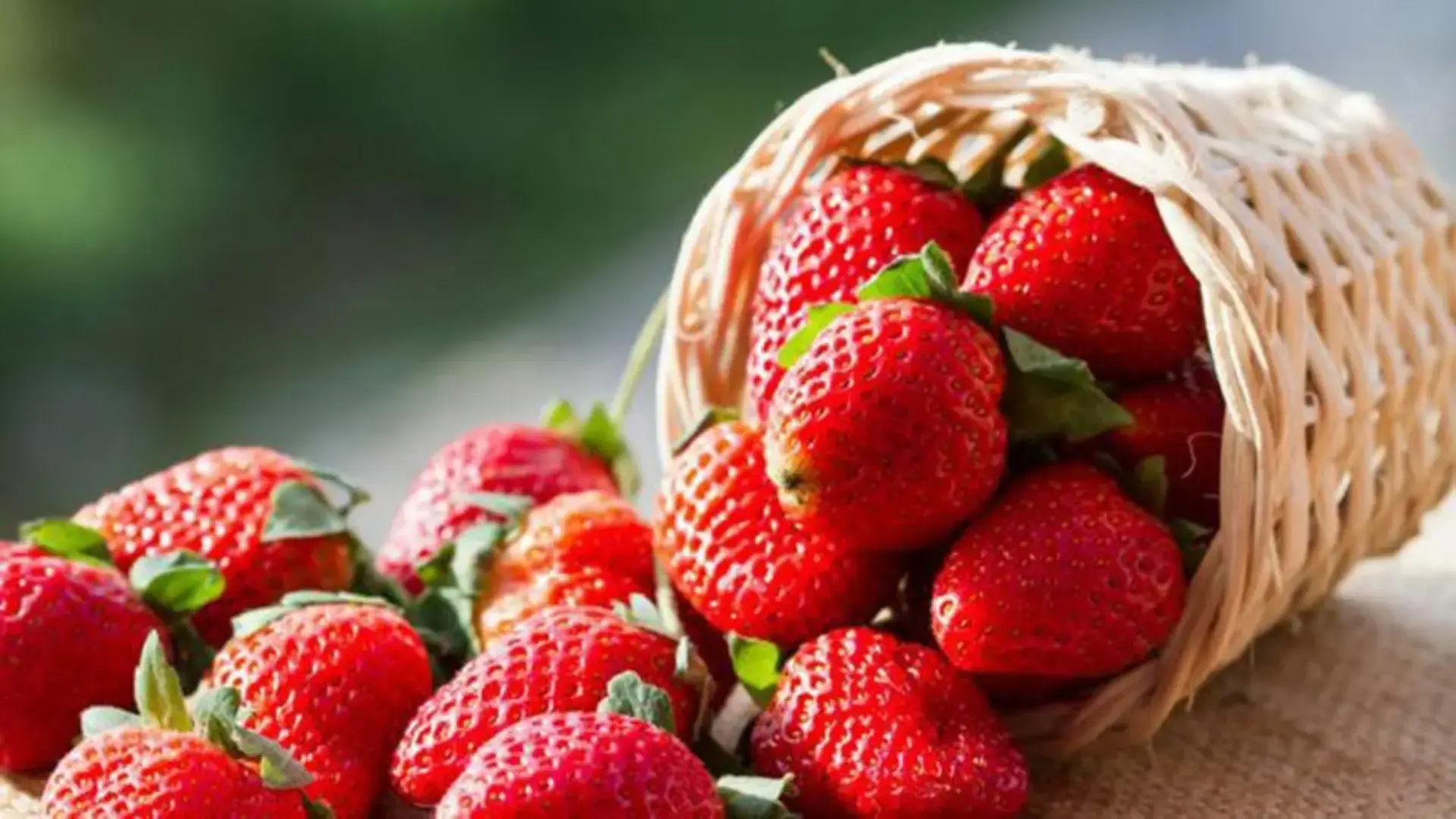 Strawberry