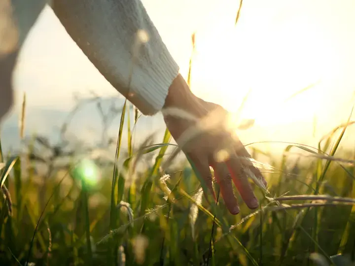 Hand-of-traveling-woman-touching-meadow-in-the-rays