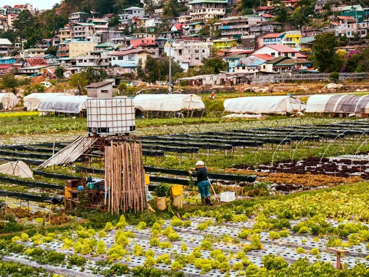 Hindi Ka Pa Makapunta ng Baguio? Here Are Strawberry Recipes You Can Make at Home