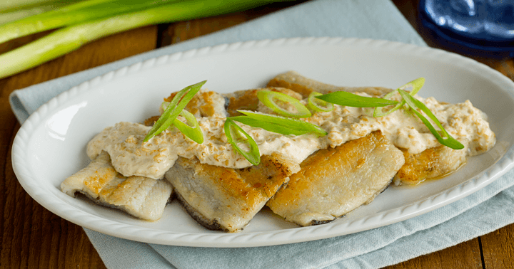 Happy Tummy Sole Fillet with Creamy Oatmeal Sauce